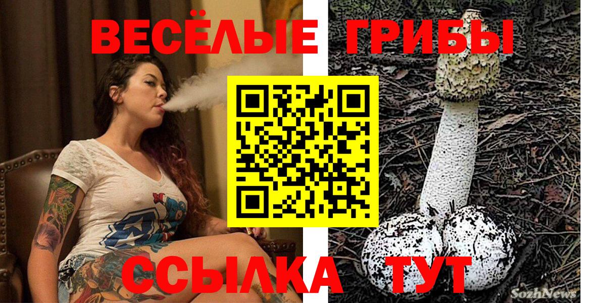 Псилоцибиновые грибы MAGIC MUSHROOMS  Вход с VPN  Реж  купить наркотики цена  Псилоцибиновые грибы Psilocybine cubensis 