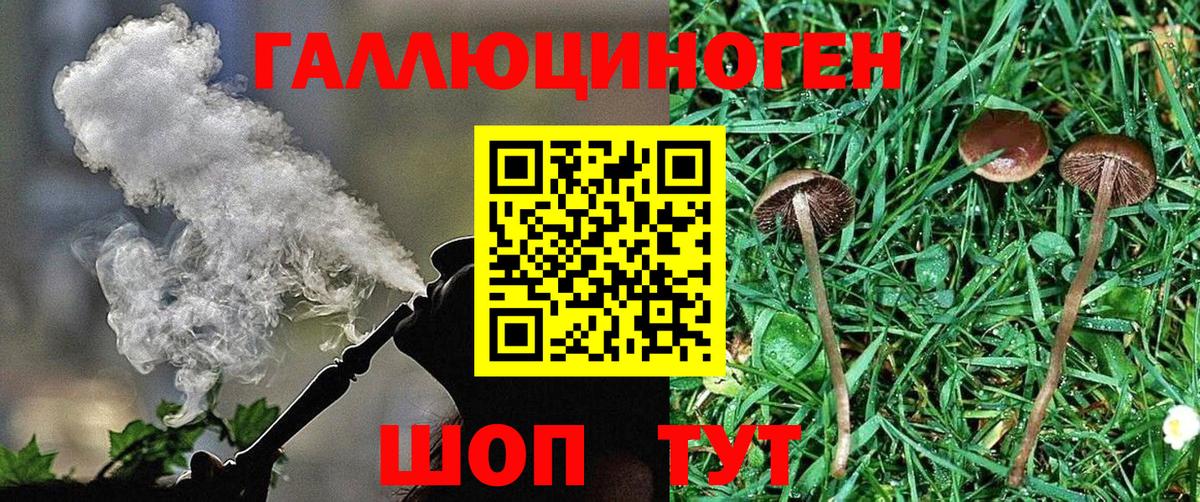 Псилоцибиновые грибы GOLDEN TEACHER Реж